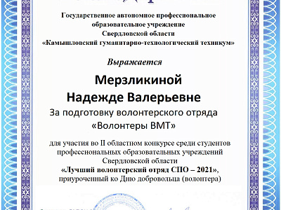 Благодарность Мерзликина